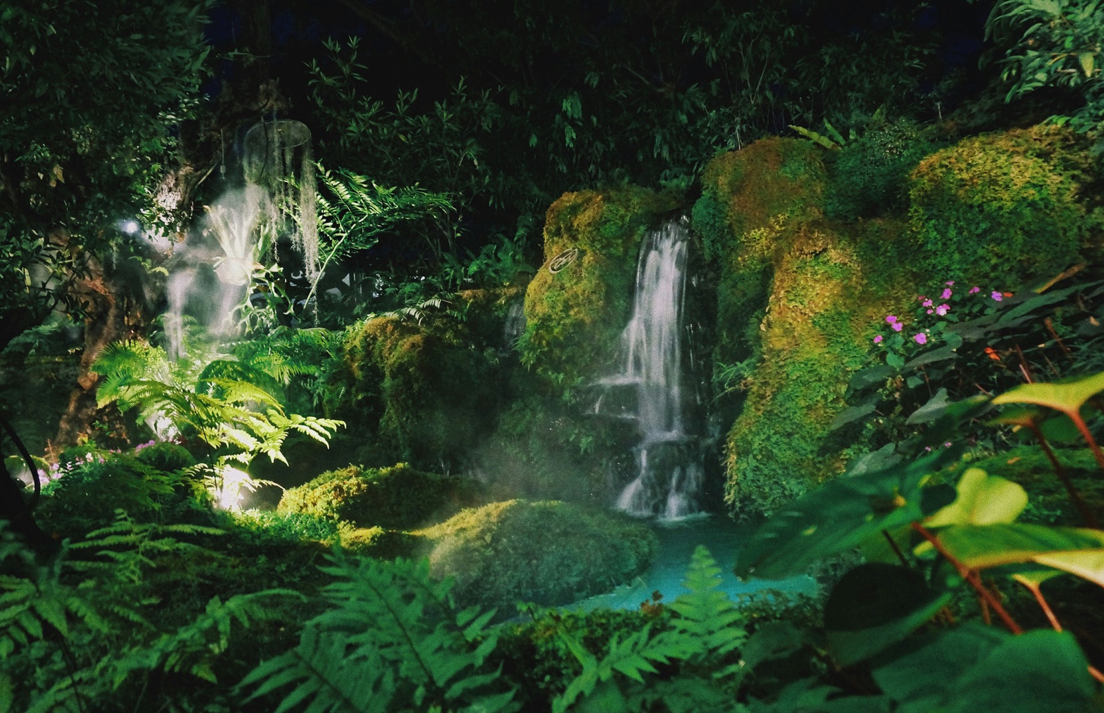 Costa Rica: Pura Vida in the Land of Rainforests and Surf
