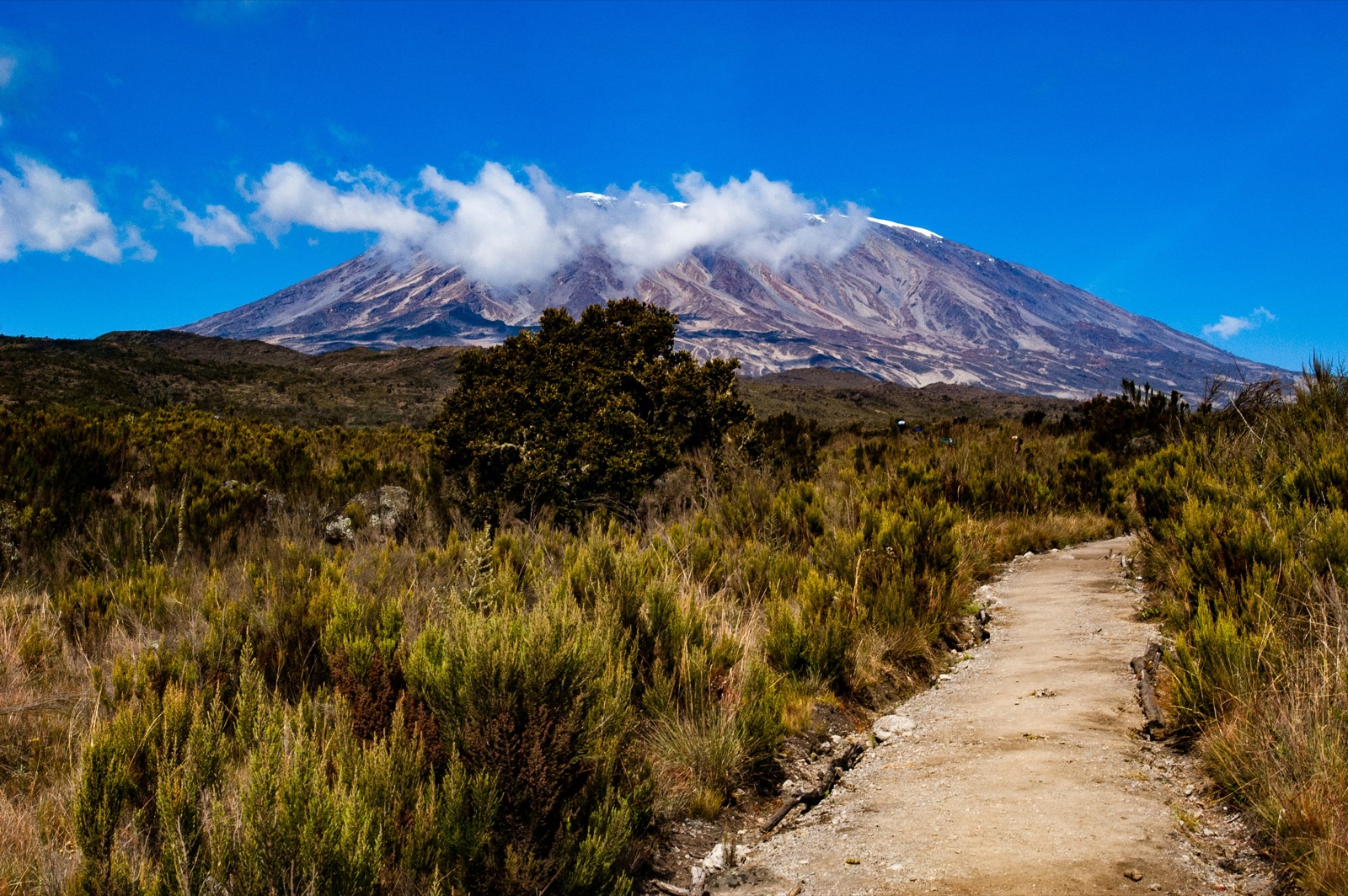 Summiting Kilimanjaro: What No One Tells You