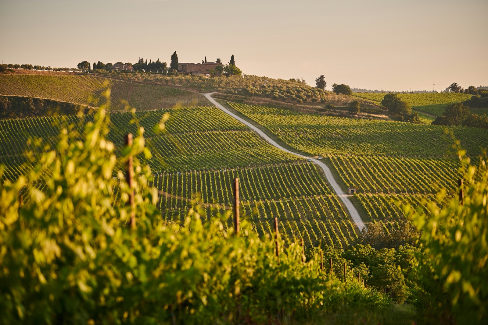A Foodie's Week Through Tuscany's Wine Country